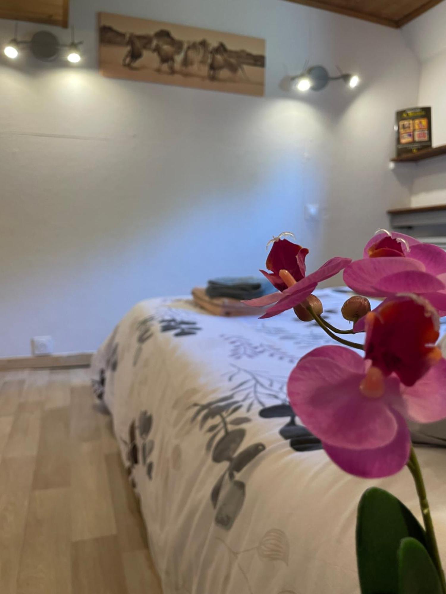 آرْلْ Peniche Le Pescalune - Chambre D'Hotes المظهر الخارجي الصورة